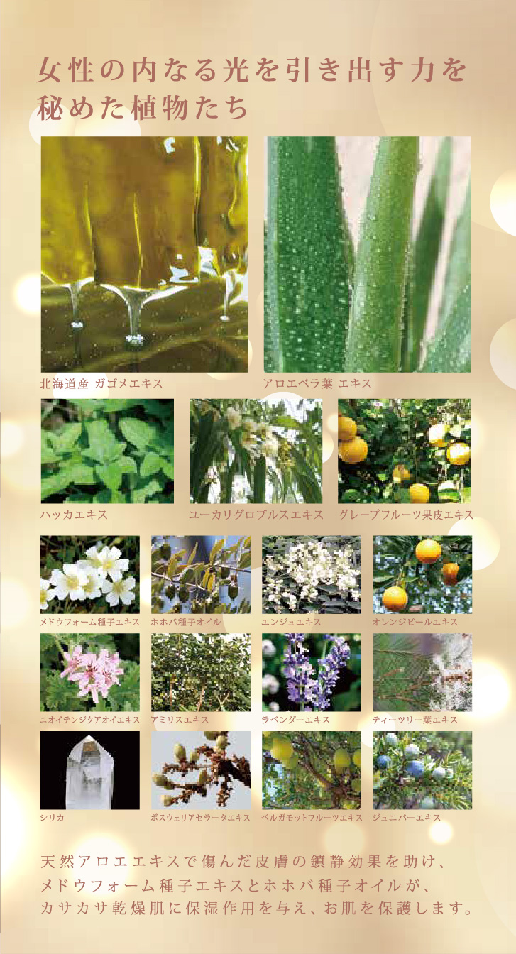 DD PERFECT ナチュラルリーフファンデーション 15g／本体・パフ付